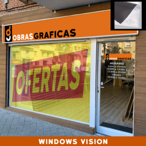 WINDOWS VISION