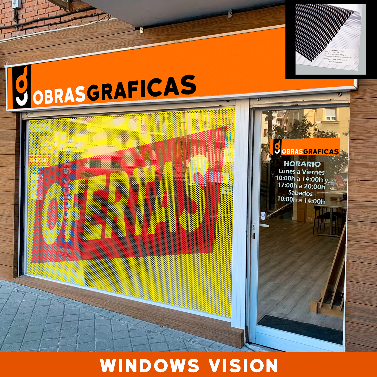 WINDOWS VISION